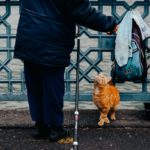 Stop Cats Inappropriate Peeing