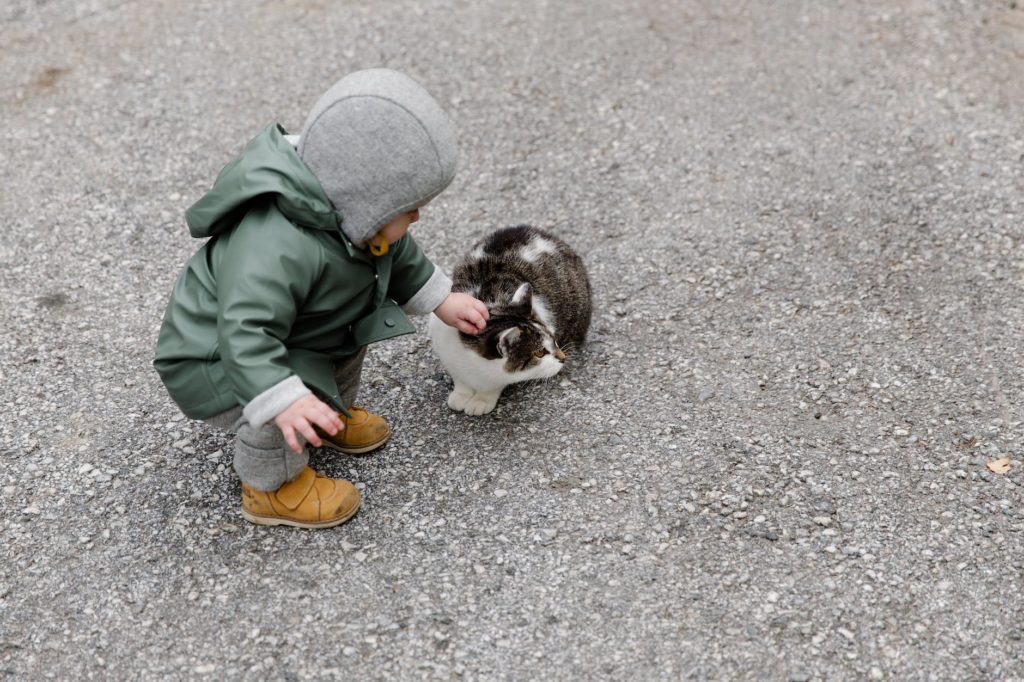 Cats And Kids