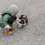 Cats And Kids