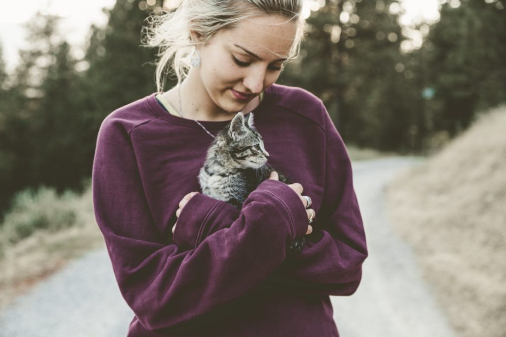 selective focus photography of woman wearing purple sweater holding silver tabby cat